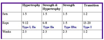 Periodization for Personal Training Clients 3 Periodization Table